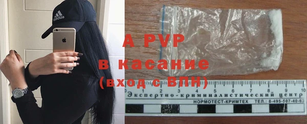амф Арсеньев